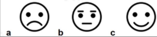 How does the woman feel about the promotion? (ảnh 1)