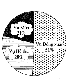 Lúa là cây trồng chủ lực hằng năm ở nhiều địa phương trên cả nước. Bảng 17 thống kê sản lượng lúa vụ Đông xuân, vụ Hè thu, vụ Mùa năm 2021 của nước ta như sau: (ảnh 1)