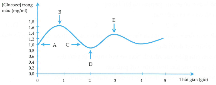 Biểu đồ dưới đâu ghi lại sự biến động hàm lượng glucôzơ trong máu của một người khỏe mạnh bình thường trong vòng 5 giờ, cơ chế điều hòa đường máu của người này (ảnh 1)