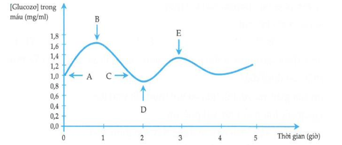 Biểu đồ dưới đâu ghi lại sự biến động hàm lượng glucose trong máu của một người khỏe mạnh bình thường trong vòng 5 giờ: (ảnh 1)