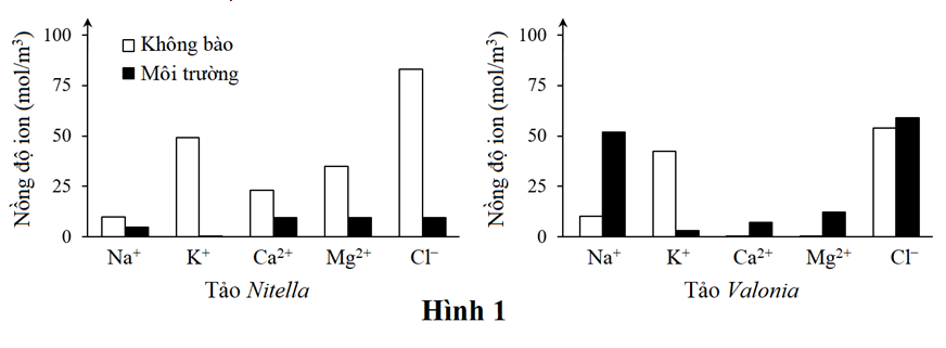 Khi phân tích hàm lượng các ion khoáng trong không bào và trong môi trường sống của hai loài tảo Nitella và Valonia người ta thu được kết quả được thể hiện ở hình 5. (ảnh 1)