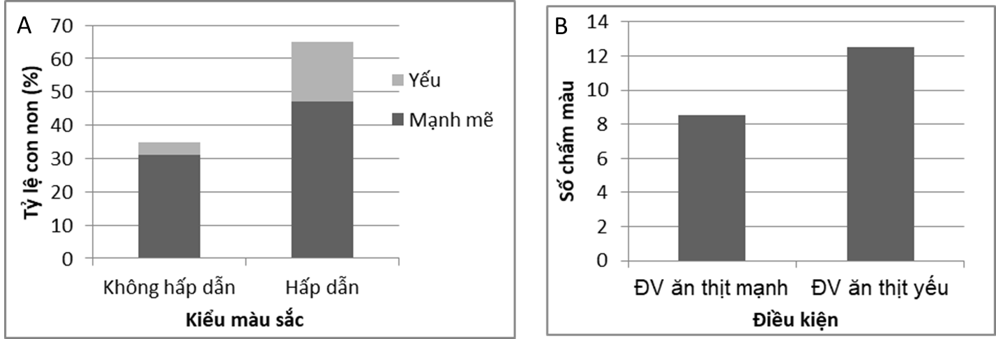 Ở cá “bảy màu”, con đực có nhiều chấm màu trên cơ thể. Đặc điểm bên ngoài và thể chất có thể ảnh hưởng tới sự sinh sản thành công của con đực (Hình A). Sự thay đổi màu sắc của cá đực cũng được nghiên cứu khi chuyển từ điều kiện có động vật ăn thịt (ảnh 1)