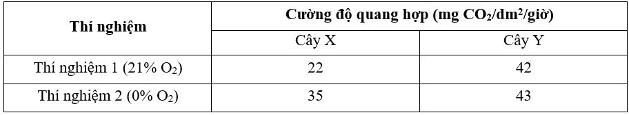 Một nhà sinh lý học thực vật đã làm một thí nghiệm sau: đặt 2 cây X và Y vào 2 bình thí nghiệm có chiếu sáng với cường độ như nhau nhưng thay đổi nồng độ O2 trong bình. Kết quả thí nghiệm được ghi lại ở bảng dưới đây: (ảnh 1)