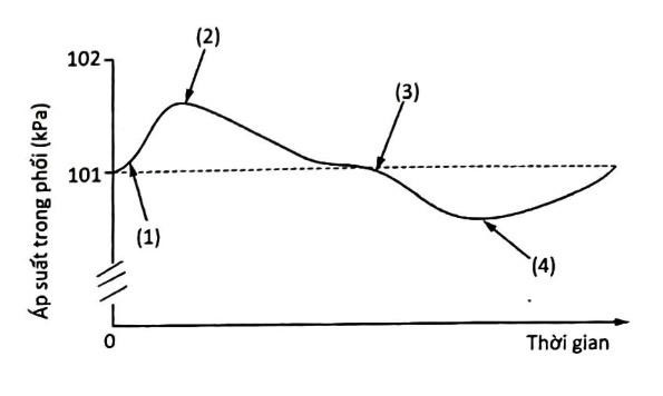 Sơ đồ bên minh họa cho những thay đổi về áp suất không khí bên trong phổi trong một chu kì thở hoàn chỉnh của một người. Biết rằng áp suất khí quyển là 101k. (ảnh 1)