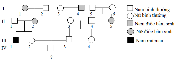 Quan sát phả hệ dưới đây: Có bao nhiêu người đã xác định được kiểu gen về tính trạng bệnh điếc: (ảnh 1)