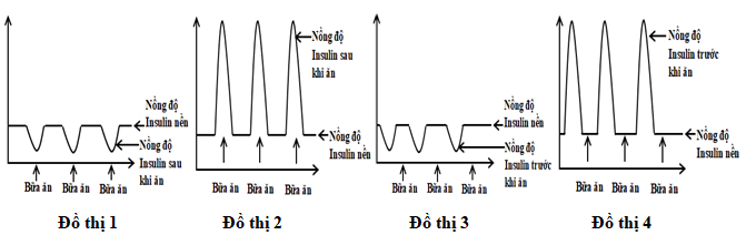 Bốn đồ thị dưới đây mô tả sự thay đổi nồng độ insulin trong máu theo các thời điểm dùng bữa trong ngày. Đồ thị phản ánh đúng quá trình biển đổi nồng độ insulin ở người bình thường là đồ thị số bao nhiêu? (ảnh 1)