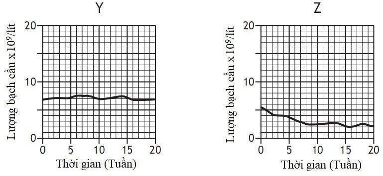 Xét nghiệm máu để đo số lượng bạch cầu (leucocytes. thường được sử dụng để chỉ ra tình trạng nhiễm trùng hoặc bệnh tật. (ảnh 2)