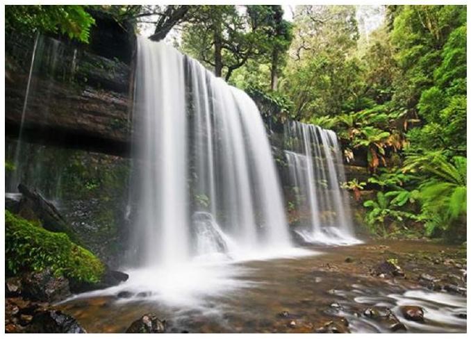 Câu nào dưới đây sử dụng biện pháp so sánh phù hợp với bức tranh sau? (ảnh 1)