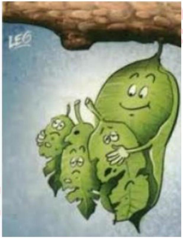 Hình ảnh sau gợi nhắc đến câu thành ngữ, tục ngữ nào?   a/ Lá lành đùm lá rách b/ Con có mẹ như măng ấp bẹ. c/ Chị ngã em nâng (ảnh 1)