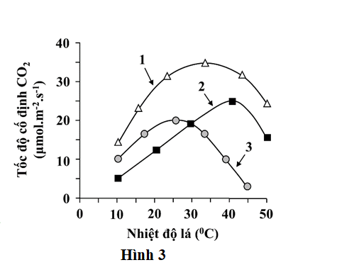 Một thí nghiệm được tiến hành để tìm hiểu về mối liên quan giữa nhiệt độ lá, nồng độ O2 môi trường và cường độ quang hợp của loài thực vật ở nhóm C3 (cỏ lúa mì) và C4 (cỏ xanh gama). Tiến hành bố trí ba lô thí nghiệm: (ảnh 1)