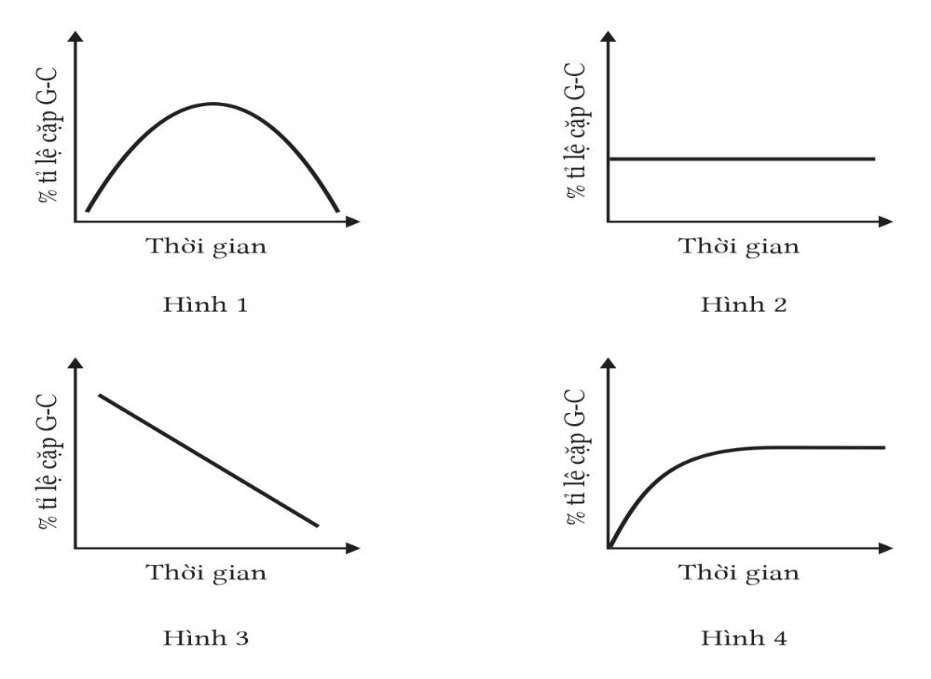 Một nhà khoa học tiến hành nghiên cứu ảnh hưởng của tác nhân đột biến 5-BU lên vi khuẩn E.Coli bằng cách tác động lên hệ gene của vi khuẩn này trong một thời gian rồi dừng lại (ảnh 1)