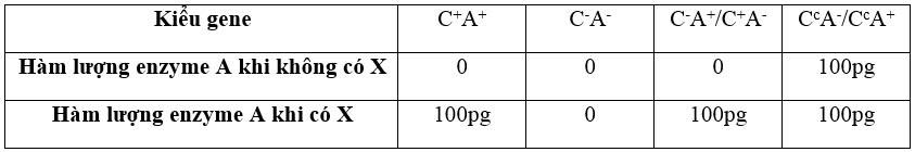 Ở một loài vi khuẩn, có 4 gene (A, B, D và E) tham gia vào sự chuyển hóa một chất X và một đoạn DNA (là một gene, kí hiệu là C) liên kết với các trình tự A, B và D.  (ảnh 1)