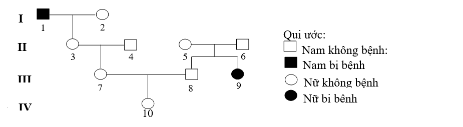 Cho sơ đồ phả hệ mô tả sự di truyền một bệnh ở người do một trong hai allele của một gene qui định, allele trội là trội hoàn toàn. (ảnh 1)