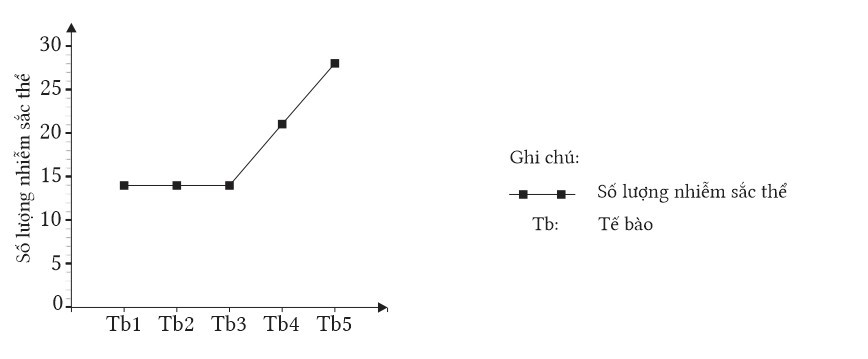 Một loài thực vật trong tế bào (tb1) có bộ nhiễm sắc thể 2n = 14. Trong một quần thể của loài này có 4 thể đột biến từ tb1 được kí hiệu là tb2, tb3, tb4 và tb5. (ảnh 1)