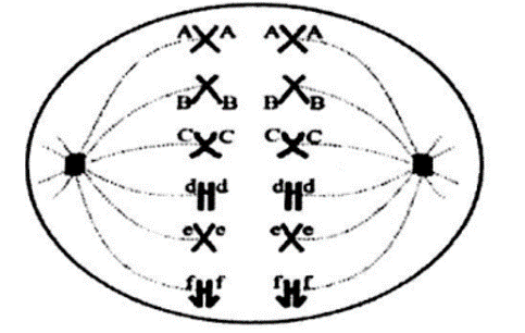 Từ hình vẽ sau ta có các kết luận? (ảnh 1)