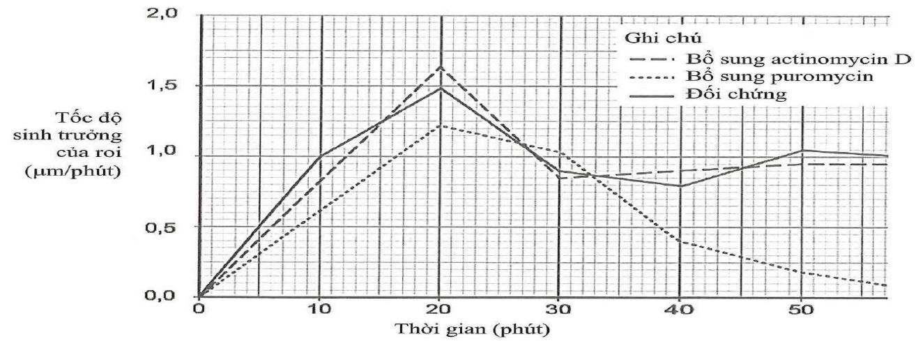 Các nhà nghiên cứu đã nghiên cứu tốc độ phát triển của roi ở trùng roi trong ba môi trường khác nhau (ảnh 1)