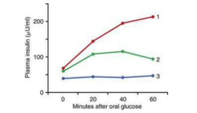 PHẦN III. C&acirc;u trắc nghiệm trả lời ngắn (3,0 điểm). Th&iacute; sinh trả lời từ c&acirc;u 1 đến c&acirc;u 6. C&acirc;u 1. Dựa v&agrave;o h&igrave;nh dưới đ&acirc;y, em h&atilde;y cho biết đường cong n&agrave;o c&oacute; khả năng thể hiện đ&aacute;p ứng ở bệnh nh&acirc;n tiểu đường type 2 sau khi cho uống glucose?   (ảnh 1)