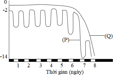 Trong một thí nghiệm, thế nước của đất và sự sinh trưởng của cây trên đất được đo trong 8 ngày. Biết rằng màu trắng và đen trên trục hoành tương ứng là ngày và đêm.  Thời điểm nào( ngày thứ mấy ) lá bắt đầu héo? [	] (ảnh 1)