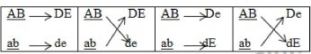 Ở một loài thú, 4 tế bào sinh tinh có kiểu gene AB DdEe giảm phân hình thành giao tử và không xảy ra ab hiện tượng hoán vị gen. Theo lý thuyết, tỉ lệ các loại giao tử không thể được tạo ra là: A. 2:2:1:1:1:1.	B. 3:3:1:1.	C. 1:1:1:1.	D. 4:4:1:1. (ảnh 1)