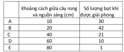 Để kiểm tra ảnh hưởng của cường độ ánh sáng đến tốc độ quang hợp, một nhóm sinh viên tiến hành thí nghiệm trên rong đuôi chồn (Elodea ccmadensirsy)  (ảnh 1)