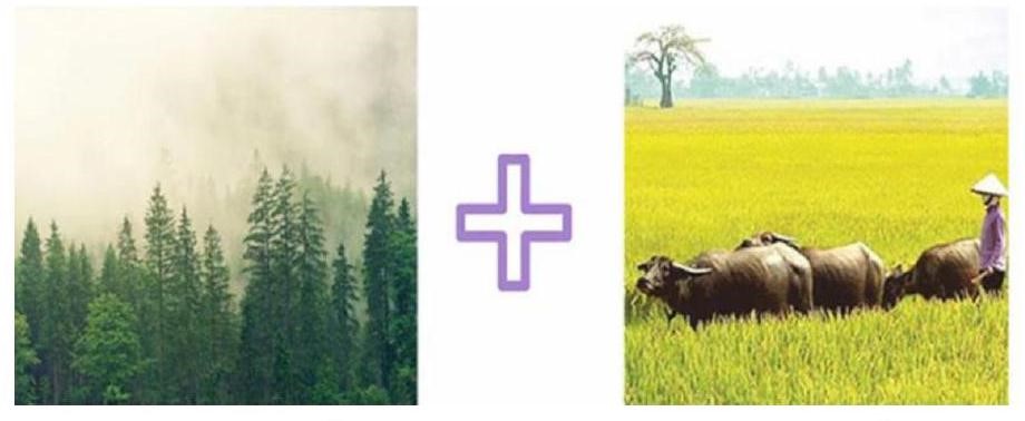 Đuổi hình bắt chữ.  Đây là tỉnh, thành phố nào của Việt Nam?     (Lưu ý: Viết hoa tên riêng đúng quy tắc)  Đáp án .............. (ảnh 1)