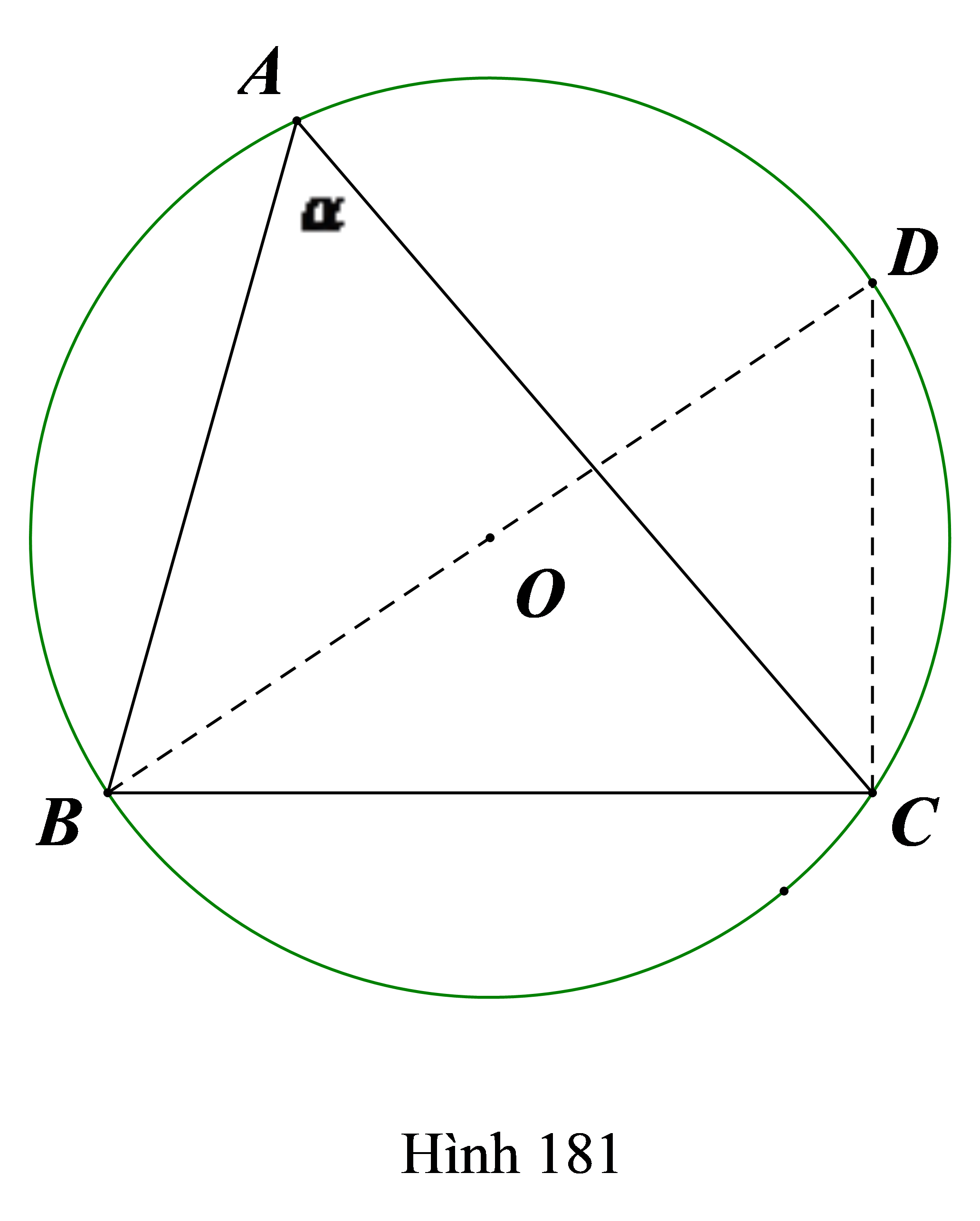 Cho tam giác ABC nội tiếp đường tròn (O; R) . Biết \(\widehat A = \alpha < {90^o}\). Tính độ dài BC (ảnh 1)