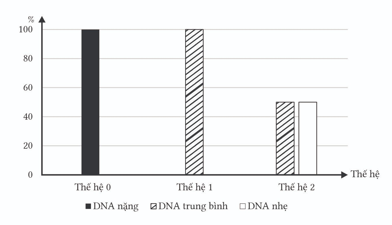 Để chứng minh hiện tượng bán bảo toàn trong quá trình nhân đôi DNA các nhà khoa học đã nuôi cấy DNA của vi khuẩn E.coli và đo được tỷ trọng DNA của vi khuẩn bằng máy tách chiết và ly tâm trong ống nghiệm và thu được kết quả Biểu đồ 1.  (ảnh 1)