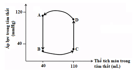 Hình 8 th&ecirc;̉ hi&ecirc;̣n sự thay đ&ocirc;̉i áp lực và th&ecirc;̉ tích máu trong 1 chu kì tim của t&acirc;m th&acirc;́t ở m&ocirc;̣t người đàn &ocirc;ng khỏe mạnh bình thường. D&acirc;́u (.) ph&acirc;n chia các giai đoạn (pha) của chu kì tim.  (ảnh 1)
