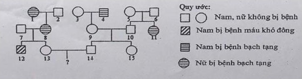 Cho sơ đồ phả hệ sau:  Biết rằng mỗi bệnh do một trong hai allele của một gene quy định, gene quy đinh bệnh máu khó đông năm ở vùng không tương đồng trên NST giới tính X  (ảnh 1)