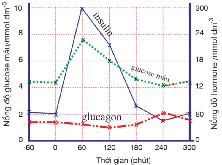 Một cuộc điều tra đã được thực hiện để xác định phản ứng của các tế bào tuyến tụy đối với sự gia tăng nồng độ glucose trong máu.  (ảnh 1)