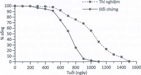 Một nghiên cứu thực hiện trên chuột nhằm điều tra việc hạn chế tiêu thụ năng lượng ảnh hưởng đến như thế nào đến tuổi thọ của con người  (ảnh 1)