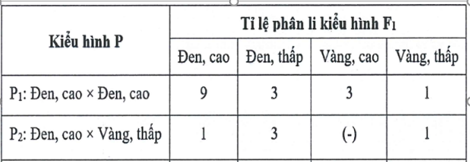 Ở một loài động vật, xét 2 tính trạng màu lông và chiều cao chân. Mỗi tính trạng do 1 gene có 2 allele trội lặn hoàn toàn, nằm trên NST thường quy định. (ảnh 1)