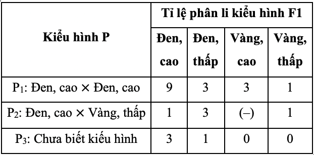 Ở một loài động vật, xét hai tính trạng màu lông và chiều cao chân. Mỗi tính trạng do một gene có hai allele trội lặn hoàn toàn, nằm trên NST thường quy định.  (ảnh 1)