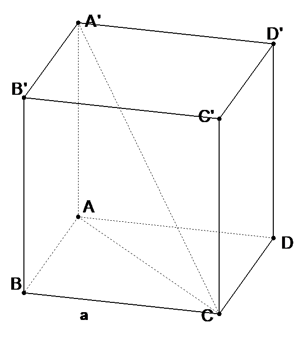 Cho h&igrave;nh lập phương \(ABCD.A'B'C'D'\) cạnh \(a\). T&iacute;nh diện t&iacute;ch to&agrave;n phần của hình nón thu được khi quay tam gi&aacute;c \[AA'C\] quanh trục \(AA'\). (ảnh 1)