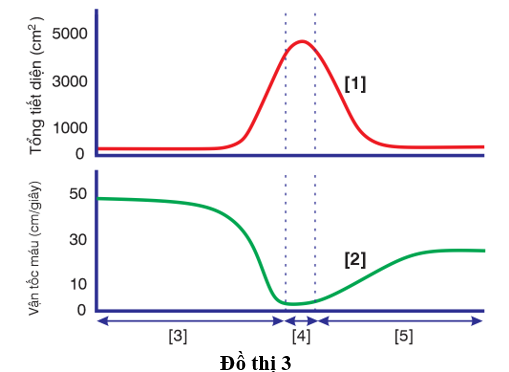 Đồ thị 3 biểu thị về sự biến tiết diện các đoạn mạch và vận tốc máu trong các đoạn mạch của hệ tuần hoàn như sau. (ảnh 1)