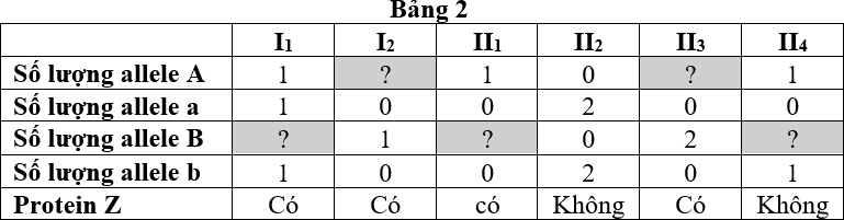 Xét 2 gene, mỗi gene gồm 2 allele (A, a và B, b) liên kết hoàn toàn trên vùng không tương đồng của nhiễm sắc thể giới tính X. Khi kiểu gene có mặt đồng thời cả hai allele trội A và B thì tế bào sẽ tổng hợp được protein Z.  (ảnh 1)