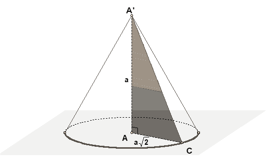 Cho h&igrave;nh lập phương \(ABCD.A'B'C'D'\) cạnh \(a\). T&iacute;nh diện t&iacute;ch to&agrave;n phần của hình nón thu được khi quay tam gi&aacute;c \[AA'C\] quanh trục \(AA'\). (ảnh 2)