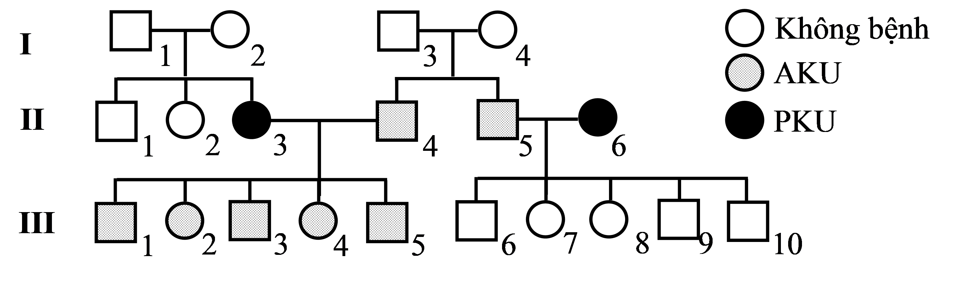 Hình 7.1 mô tả con đường chuyển hóa phenylalanine liên quan đến ba bệnh chuyển hóa di truyền ở người, gồm phenyl keto niệu (PKU), alcapto niệu (AKU) và bạch tạng. Đột biến lặn ở ba gen phân li độc lập mã hóa ba enzyme tương ứng (enzyme 1-3) (ảnh 2)