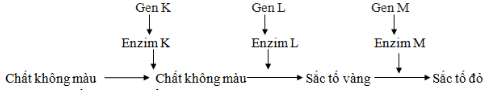 Các gene allele có tương tác với nhau không? Liệt kê các kiểu tương tác của các gene allele ( nếu có) (ảnh 1)