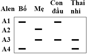 C&oacute; khoảng 3% d&acirc;n số b&igrave;nh thường mang alen đột biến ở gen CFTR g&acirc;y bệnh xơ nang. Trong một gia đ&igrave;nh, cả người vợ v&agrave; chồng đều l&agrave; thể mang về một đột biến CFTR. (ảnh 1)
