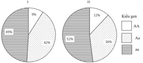 Tỉ lệ các loại kiểu gene  quy định màu lông của hai quần thể chuột được thể hiện như hình bên, allele A quy định lông trắng trội hoàn toàn so với allele a quy định lông đen.  (ảnh 1)