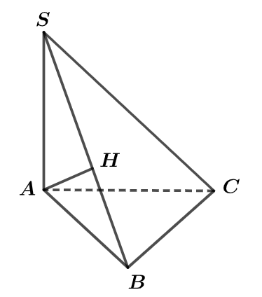 Cho h&igrave;nh ch&oacute;p \(S.ABC\) c&oacute; đ&aacute;y l&agrave; tam (ảnh 1)