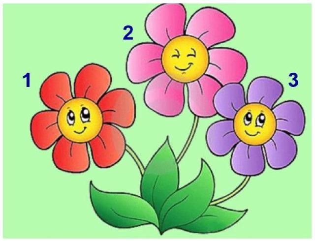 Đây là gì?   A. ba hoa			B. hoa ba			C. cây hoa			D. hoa cúc (ảnh 1)