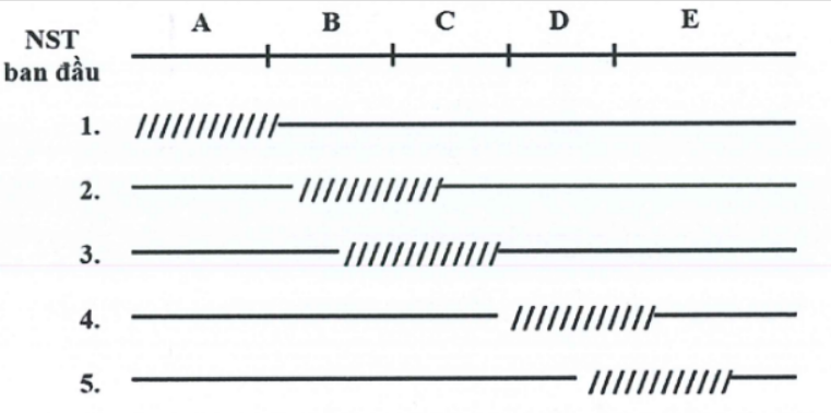 Các trình tự một operon ở vi khuẩn E.coli nằm trong đoạn NST được kí hiệu từ A đến E. Để xác định các trình tự của operon này, người ta sử dụng 5 trường hợp đột biến mất đoạn như hình dưới đây  (ảnh 1)