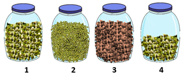 Để phát hiện hô hấp ở thực vật, một nhóm học sinh đã tiến hành thí nghiệm như sau: Dùng bình cách nhiệt giống nhau đánh số thứ tự 1, 2, 3 và 4. Cả bốn bình đều đựng hạt của một giống lúa: (ảnh 1)