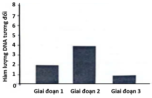 Quan sát quá trình phân bào của một tế bào có kiểu gene AaBb, người ta đo được hàm lượng DNA trong nhân tế bào qua các giai đoạn được thể hiện ở biểu đồ như hình bên.  (ảnh 1)