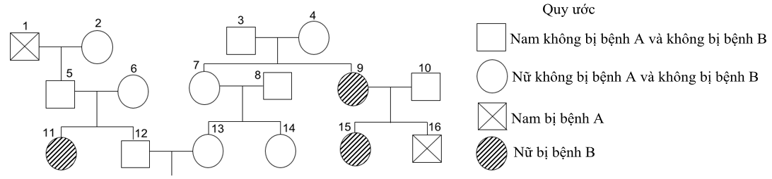 Cho sơ đồ phả hệ sau:     Cho biết mỗi bệnh do 1 trong 2 allele của 1 gene quy định, người số 10 không mang allele gây bệnh A, người số 8 mang allele gây bệnh B và các gene phân li độc lập. (ảnh 1)