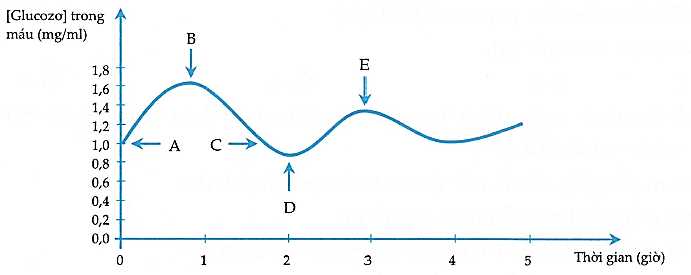 Biểu đồ 3 ghi lại sự biến động hàm lượng glucose trong máu của một người khỏe mạnh bình thường trong vòng 5 giờ (ảnh 1)