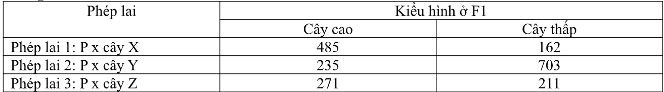 Dựa tr&ecirc;n cơ sở c&aacute;c th&iacute; nghiệm về di truyền, một nh&oacute;m c&aacute;c nh&agrave; nghi&ecirc;n cứu đ&atilde; tiến h&agrave;nh cho lai c&acirc;y P với 3 c&acirc;y X, Y, Z c&oacute; kiểu gene kh&aacute;c nhau, thu được F1 ph&acirc;n t&iacute;nh như bảng sau: (ảnh 1)