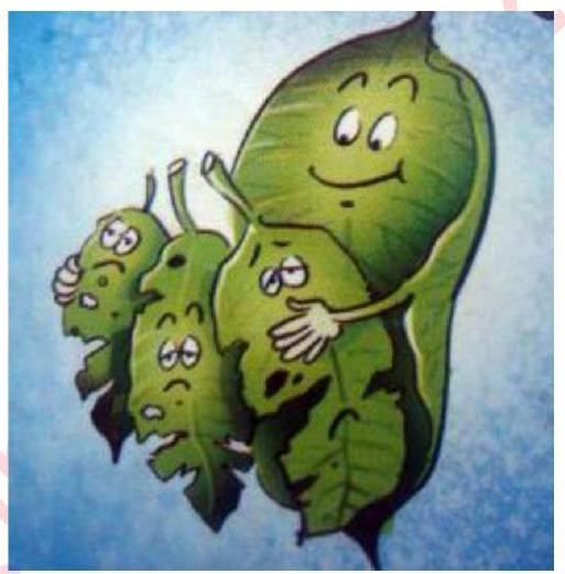 Bức tranh dưới đây gợi nhắc đến thành ngữ, tục ngữ nào?   A. Lá lành đùm lá nát	B. Lá lành đùm lá rách	C. Lá mẹ đùm lá con	D. Lá lành bọc lá rách (ảnh 1)